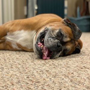 Meet your Posher, Matt